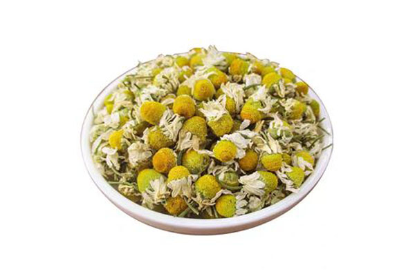 chamomile